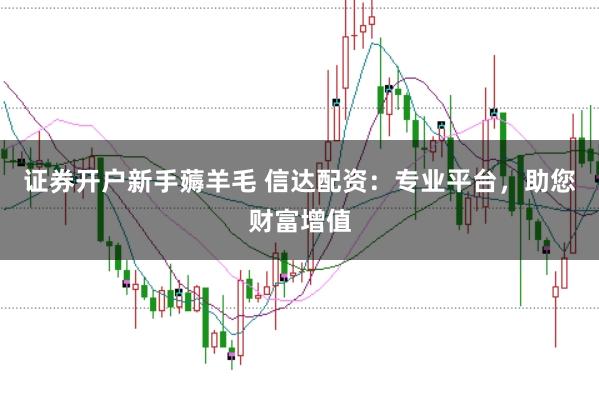 证券开户新手薅羊毛 信达配资：专业平台，助您财富增值