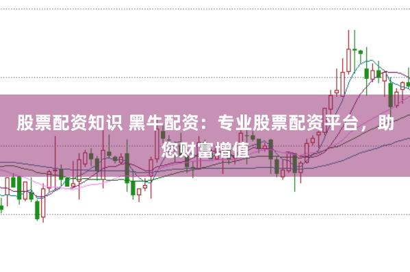股票配资知识 黑牛配资：专业股票配资平台，助您财富增值