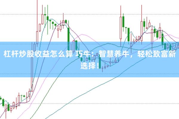 杠杆炒股收益怎么算 巧牛：智慧养牛，轻松致富新选择！