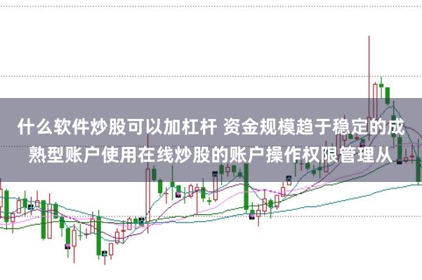 什么软件炒股可以加杠杆 资金规模趋于稳定的成熟型账户使用在线炒股的账户操作权限管理从