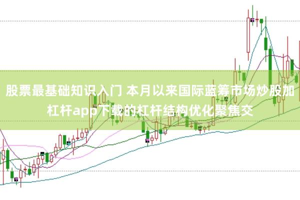 股票最基础知识入门 本月以来国际蓝筹市场炒股加杠杆app下载的杠杆结构优化聚焦交