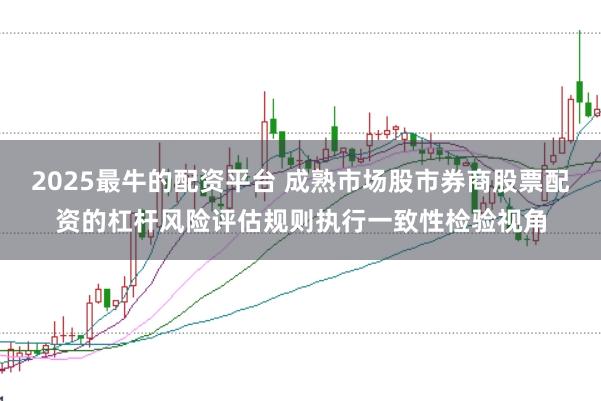 2025最牛的配资平台 成熟市场股市券商股票配资的杠杆风险评估规则执行一致性检验视角