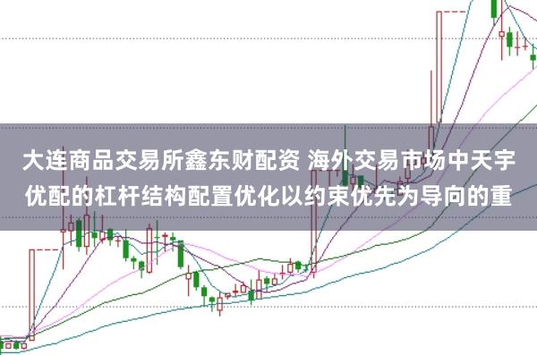 大连商品交易所鑫东财配资 海外交易市场中天宇优配的杠杆结构配置优化以约束优先为导向的重