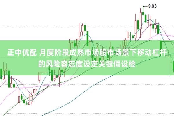 正中优配 月度阶段成熟市场股市场景下移动杠杆的风险容忍度设定关键假设检