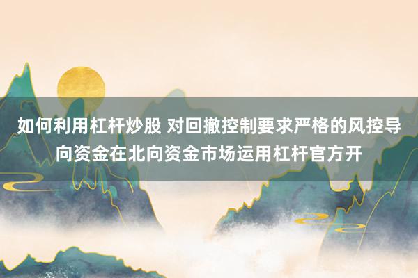 如何利用杠杆炒股 对回撤控制要求严格的风控导向资金在北向资金市场运用杠杆官方开