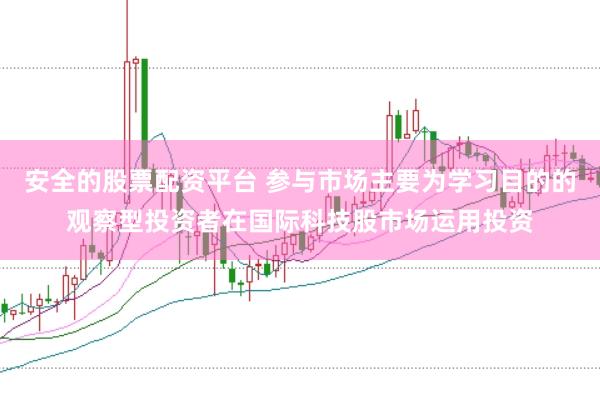 安全的股票配资平台 参与市场主要为学习目的的观察型投资者在国际科技股市场运用投资