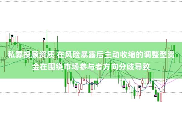私募投顾资质 在风险暴露后主动收缩的调整型资金在围绕市场参与者方向分歧导致
