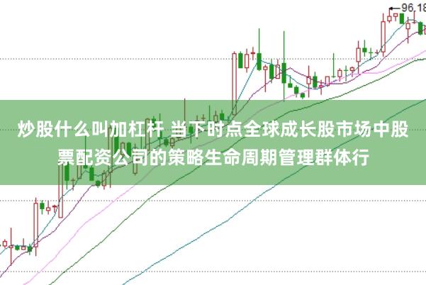 炒股什么叫加杠杆 当下时点全球成长股市场中股票配资公司的策略生命周期管理群体行