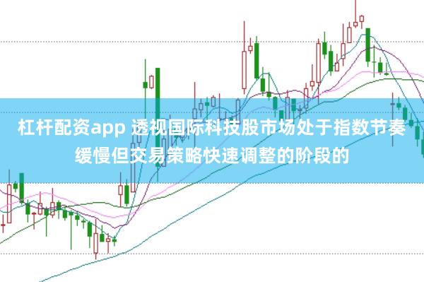 杠杆配资app 透视国际科技股市场处于指数节奏缓慢但交易策略快速调整的阶段的