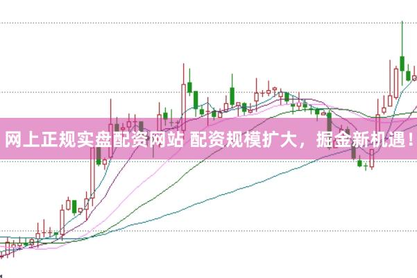 网上正规实盘配资网站 配资规模扩大，掘金新机遇！