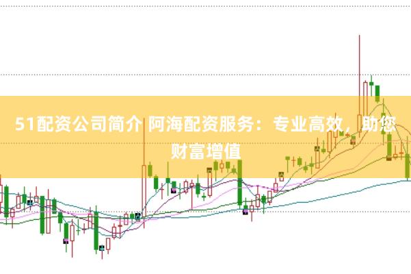 51配资公司简介 阿海配资服务：专业高效，助您财富增值