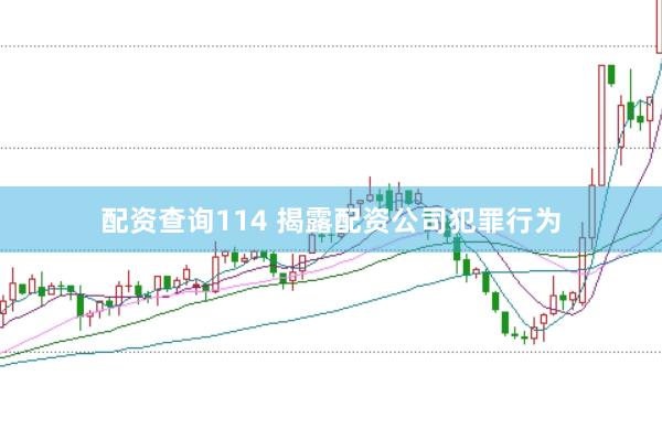 配资查询114 揭露配资公司犯罪行为