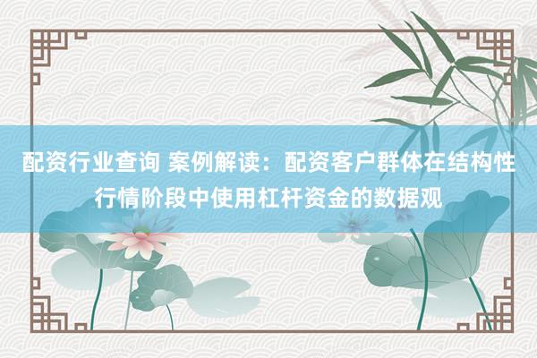 配资行业查询 案例解读：配资客户群体在结构性行情阶段中使用杠杆资金的数据观