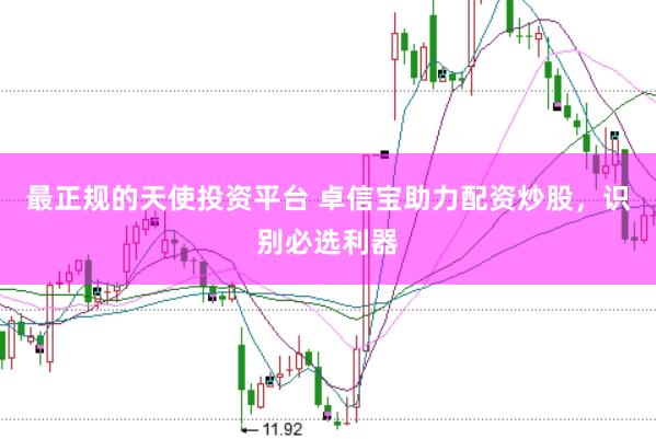 最正规的天使投资平台 卓信宝助力配资炒股，识别必选利器