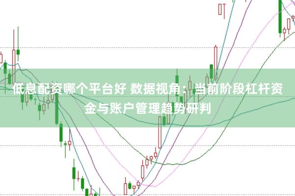 低息配资哪个平台好 数据视角：当前阶段杠杆资金与账户管理趋势研判